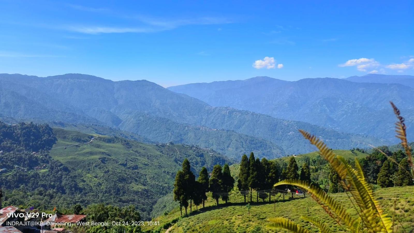 Valley View Homestay 大吉岭 外观 照片