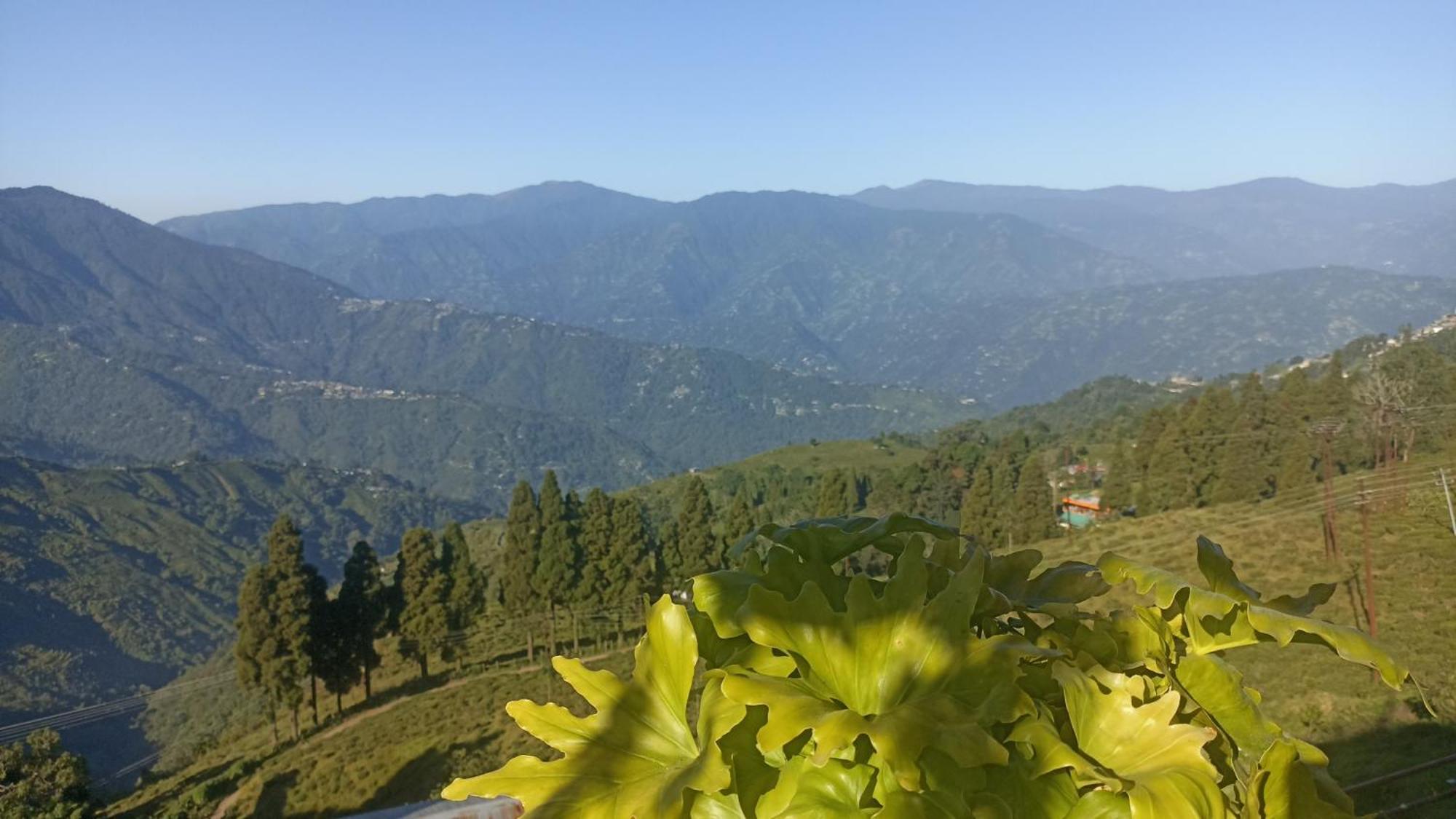 Valley View Homestay 大吉岭 外观 照片